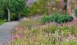 Llanerchaeron Garden-4.jpg